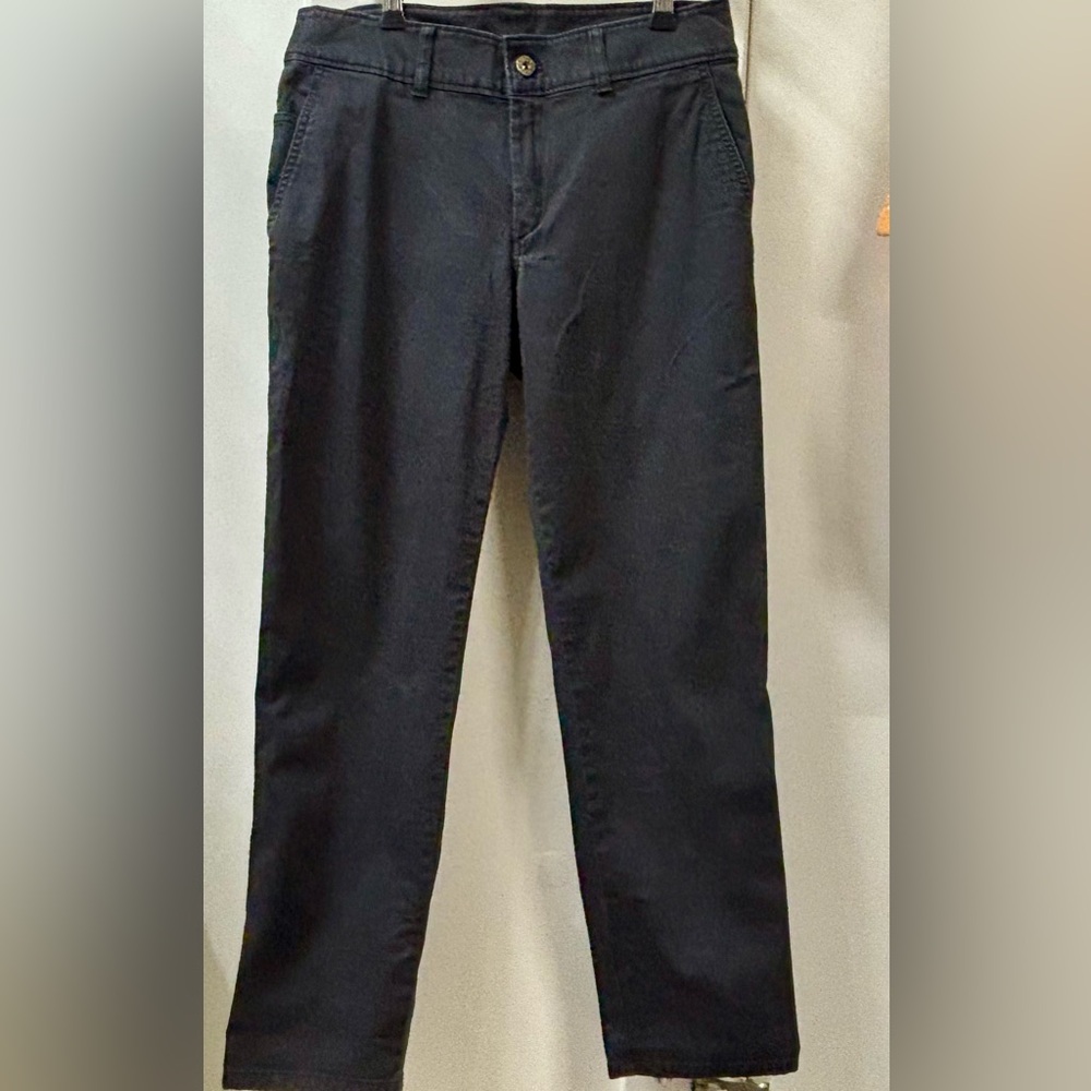 The North Face Blue-Black Women's Pants